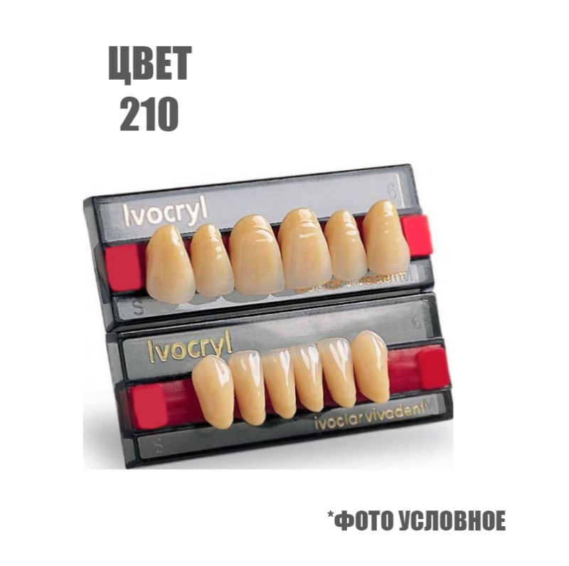 Зубы искуственные фронтальные верхние Ivoclar Set of 6 U ОK41 210 купить